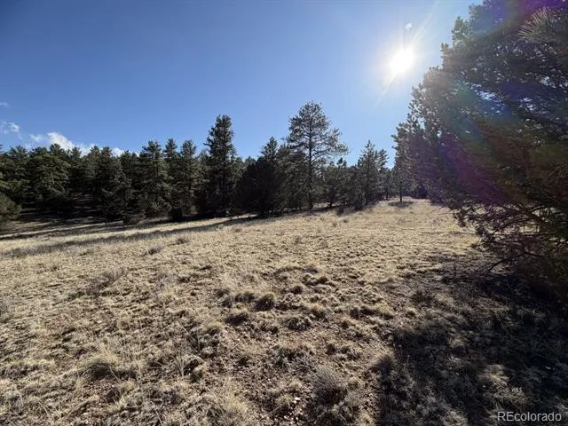 000 Canyon Road Cotopaxi, CO 81223