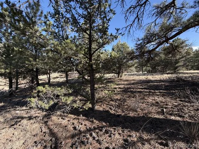 000 Canyon Road Cotopaxi, CO 81223