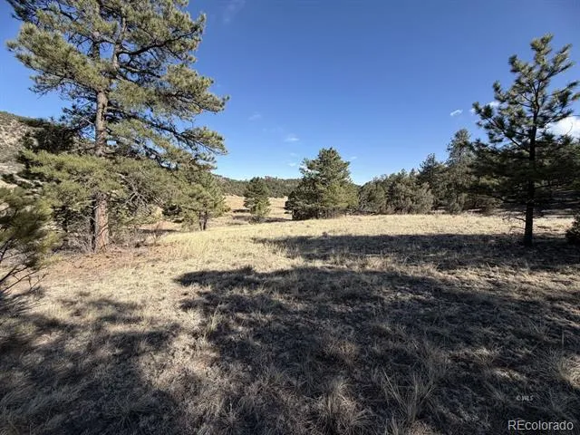 000 Canyon Road Cotopaxi, CO 81223