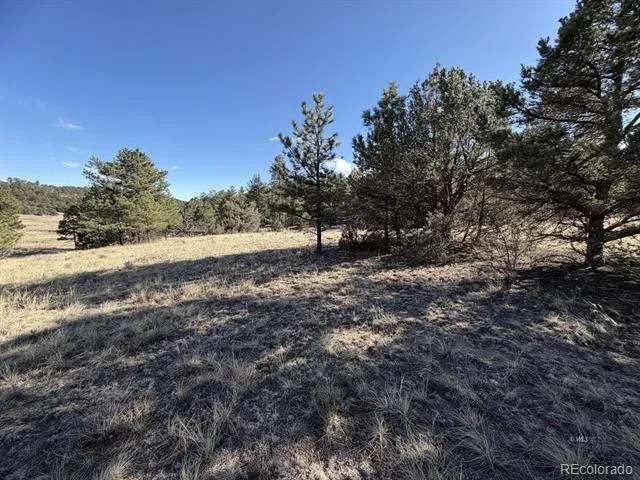 000 Canyon Road Cotopaxi, CO 81223