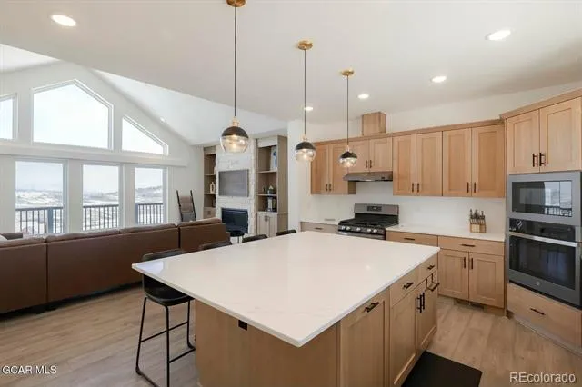 1110 Mt Neva Drive Granby, CO 80446