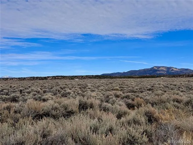 lot 81 MacArthur Road Fort Garland, CO 81133