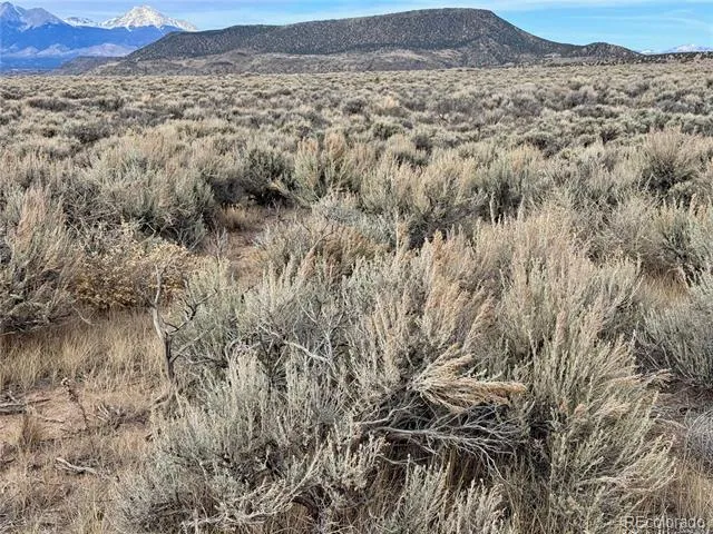 lot 81 MacArthur Road Fort Garland, CO 81133