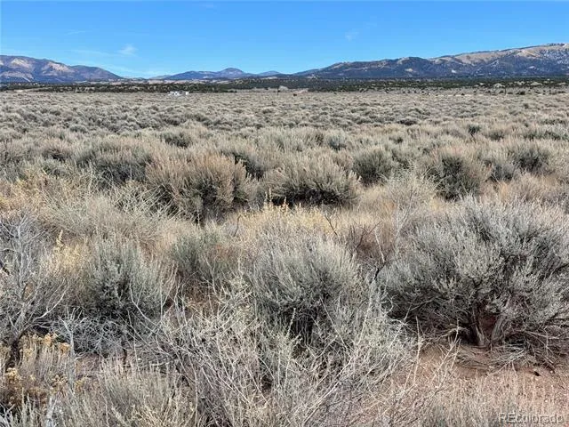 lot 81 MacArthur Road Fort Garland, CO 81133