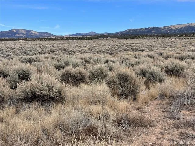lot 81 MacArthur Road Fort Garland, CO 81133