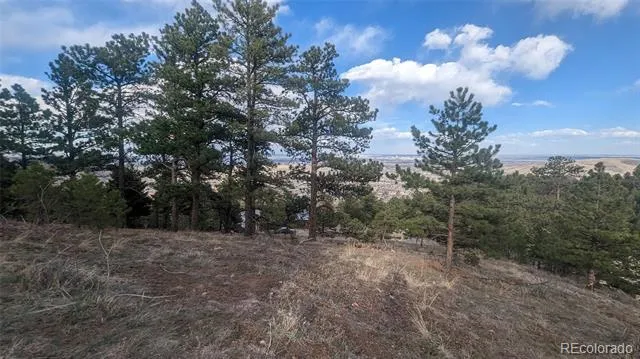 20524 Skyview Meadow Lane Golden, CO 80401