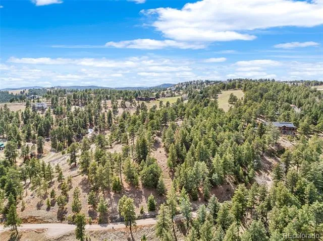 20524 Skyview Meadow Lane Golden, CO 80401