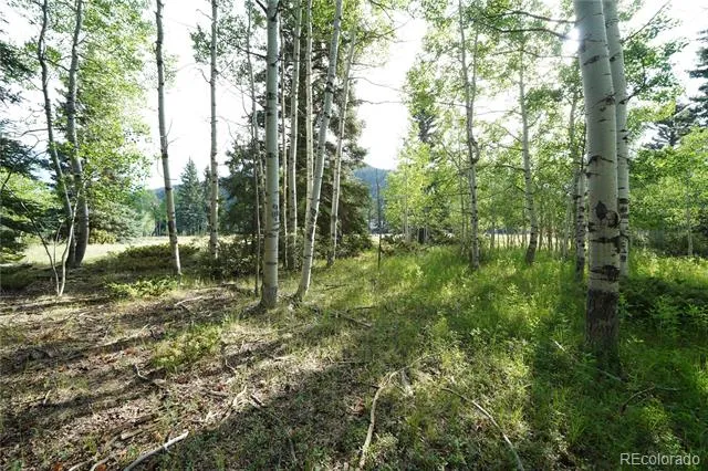 42 W Peregrine Antonito, CO 81120