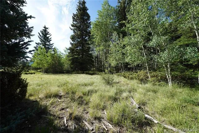 42 W Peregrine Antonito, CO 81120