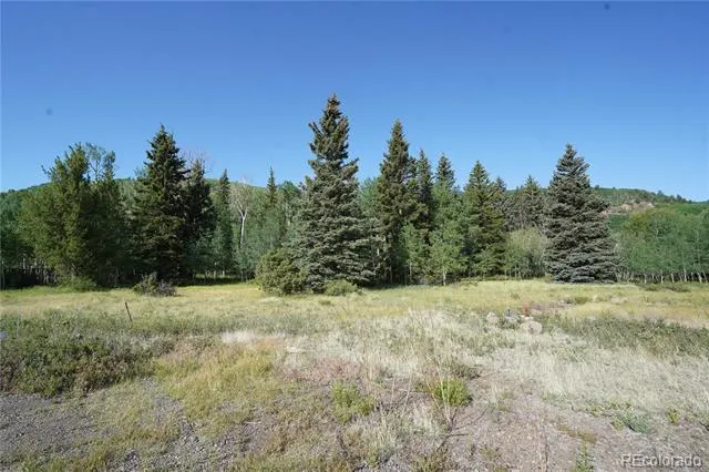 42 W Peregrine Antonito, CO 81120