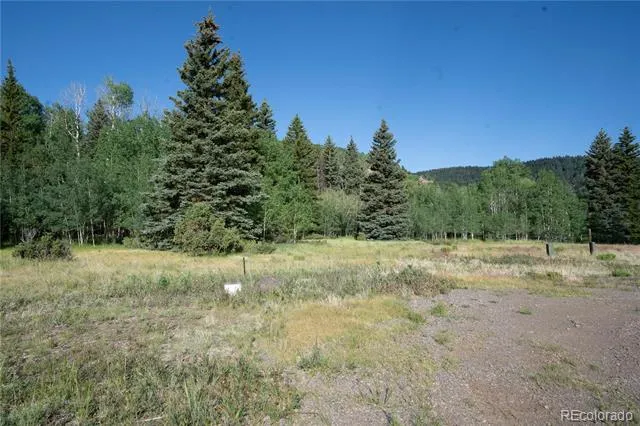 42 W Peregrine Antonito, CO 81120