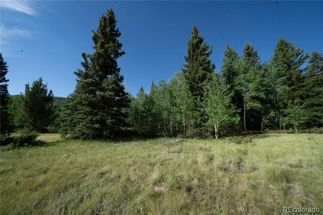 42 W Peregrine Antonito, CO 81120