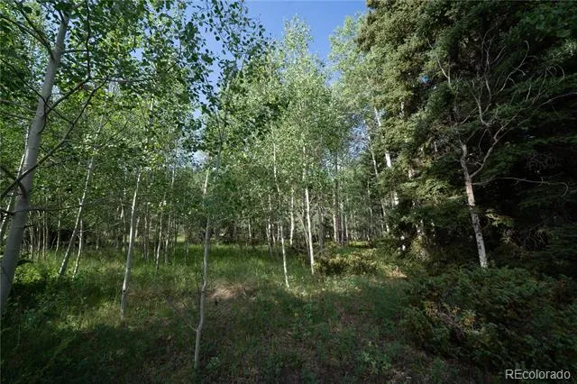 42 W Peregrine Antonito, CO 81120