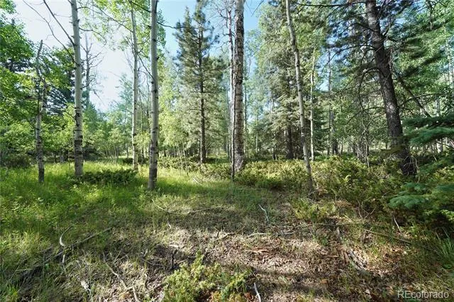 42 W Peregrine Antonito, CO 81120