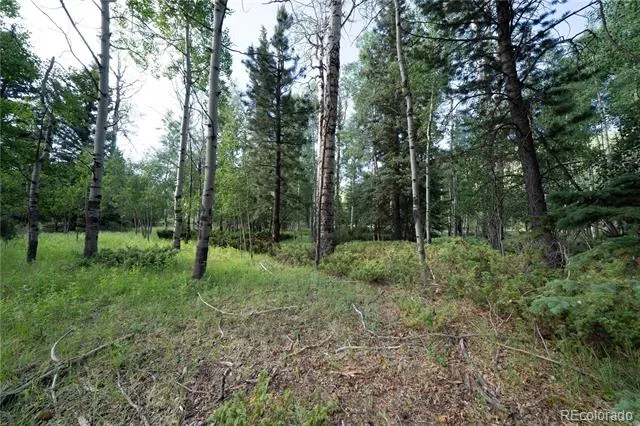 42 W Peregrine Antonito, CO 81120