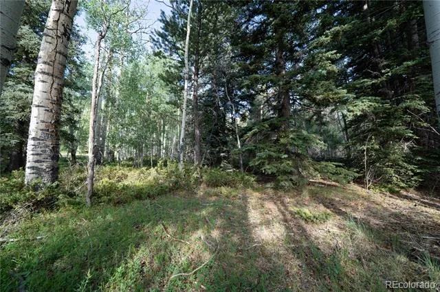42 W Peregrine Antonito, CO 81120