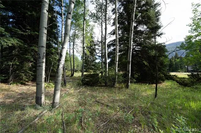 42 W Peregrine Antonito, CO 81120