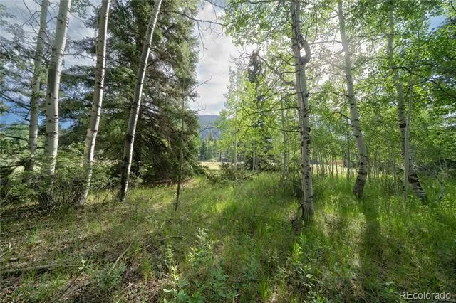 42 W Peregrine Antonito, CO 81120