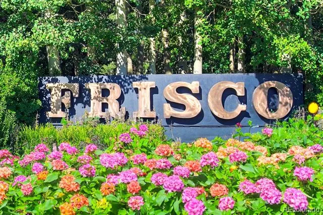 20 E Main Street #203 Frisco, CO 80443