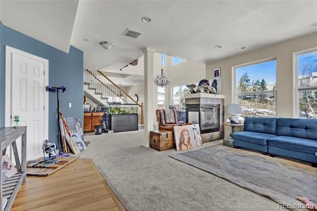 785 Martin Drive Central City, CO 80427
