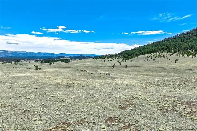00 Roan Trail Guffey, CO 80820