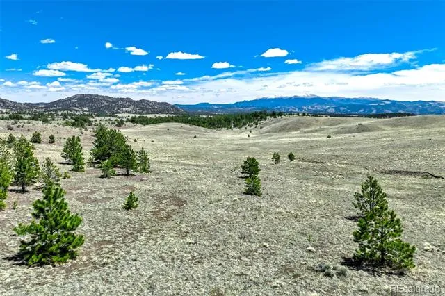 00 Roan Trail Guffey, CO 80820