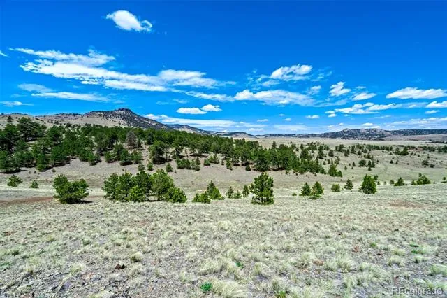 00 Roan Trail Guffey, CO 80820