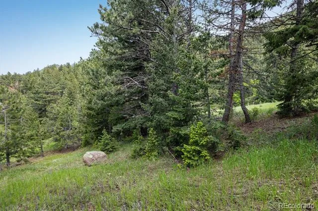 1546 Chute Road Golden, CO 80403