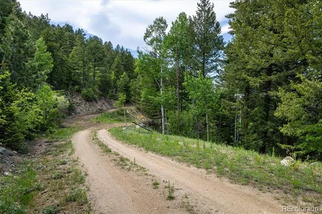 1546 Chute Road Golden, CO 80403