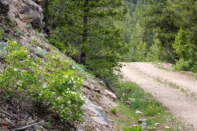 1546 Chute Road Golden, CO 80403
