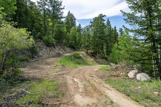 1546 Chute Road Golden, CO 80403