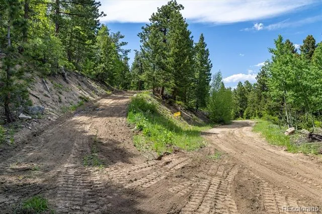1546 Chute Road Golden, CO 80403