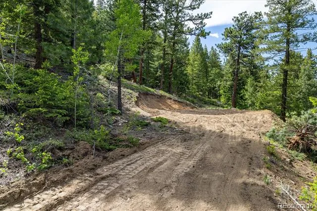 1546 Chute Road Golden, CO 80403