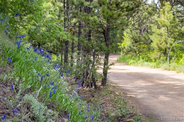 1546 Chute Road Golden, CO 80403