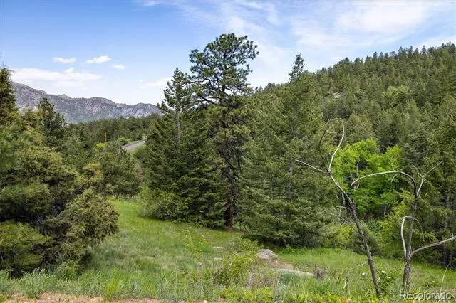 1546 Chute Road Golden, CO 80403