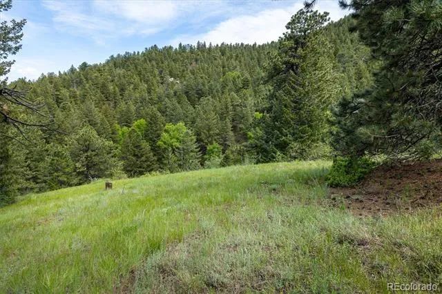 1546 Chute Road Golden, CO 80403