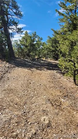 TBD L I Path Cotopaxi, CO 81223