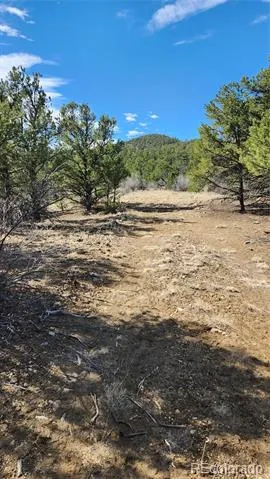 TBD L I Path Cotopaxi, CO 81223