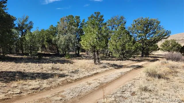 TBD L I Path Cotopaxi, CO 81223
