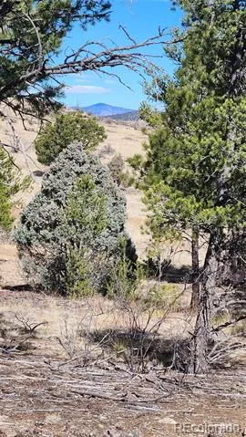 TBD L I Path Cotopaxi, CO 81223