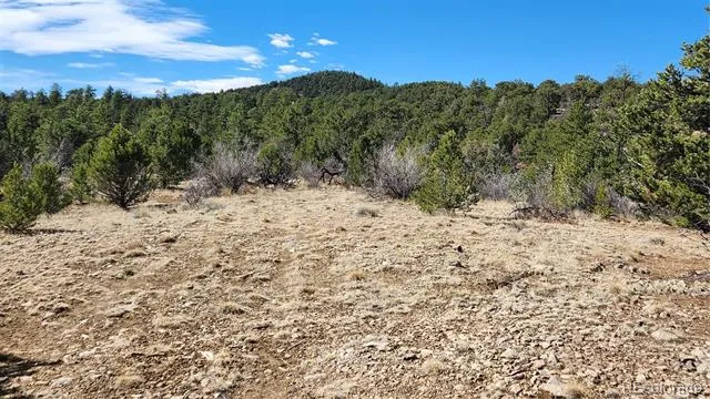 TBD L I Path Cotopaxi, CO 81223