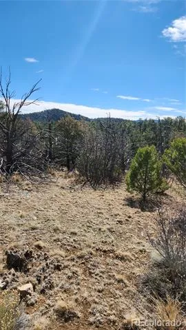 TBD L I Path Cotopaxi, CO 81223