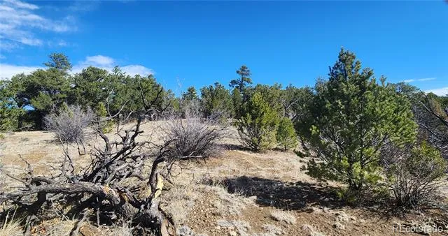 TBD L I Path Cotopaxi, CO 81223