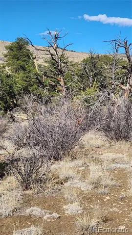 TBD L I Path Cotopaxi, CO 81223