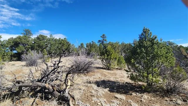 TBD L I Path Cotopaxi, CO 81223