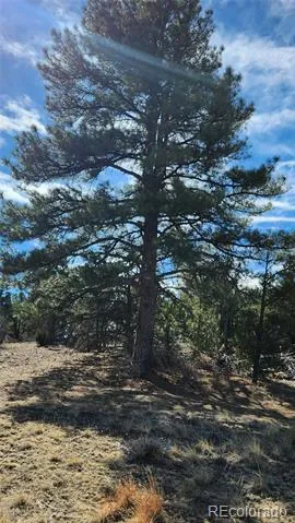 TBD L I Path Cotopaxi, CO 81223