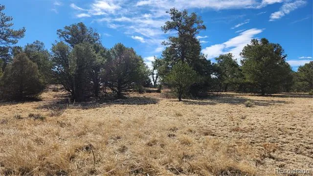 TBD L I Path Cotopaxi, CO 81223