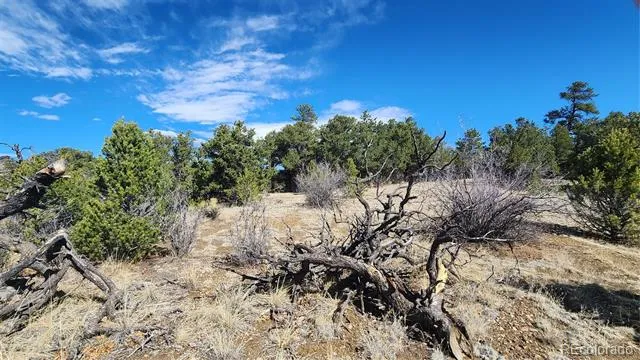 TBD L I Path Cotopaxi, CO 81223