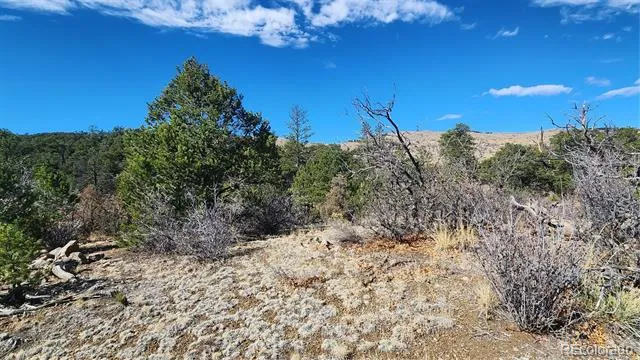 TBD L I Path Cotopaxi, CO 81223