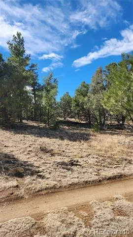 TBD L I Path Cotopaxi, CO 81223